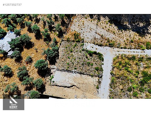 Kemalpaşa Yukarıkızılca Satılık 303 m2 Bahçe Elektrik Su Yol - İZMİR KEMALPAŞA fotoğraf 11