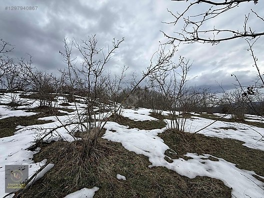 DÜZCE YIĞILCA HACILAR 'DA 2.744 M2 BAĞ EVİ OLAN FINDIK BAHÇESİ - DÜZCE YIĞILCA fotoğraf 10