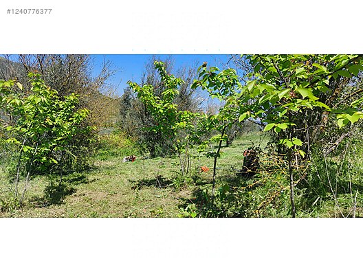 BURSA MUDANYA YALIÇİFTLİK 1.697 M² TARLA SATILIKTIR. - BURSA MUDANYA fotoğraf 5