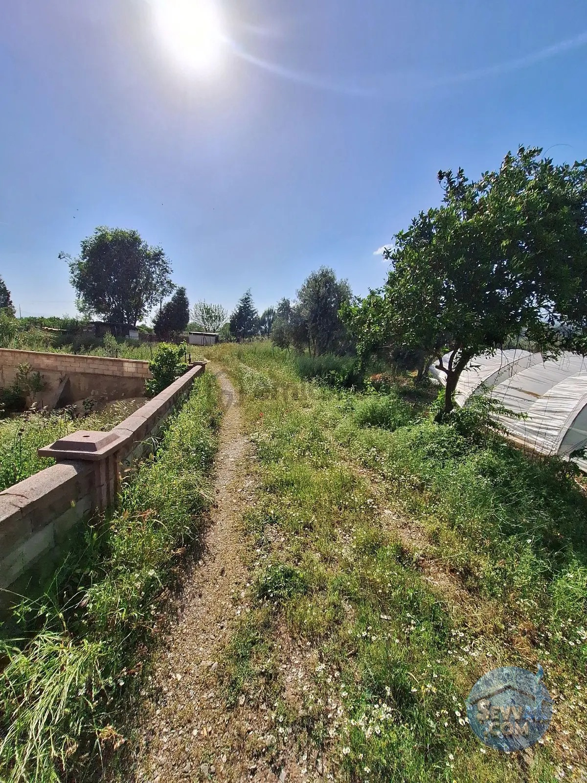 900 M2 Tek Tapu - AYDIN NAZİLLİ fotoğraf 3