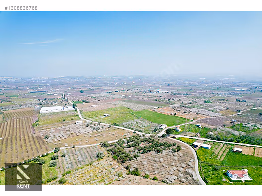 Kemalpaşa Ören 75. Yıl Satılık 8770 m2 Tek Tapu Tarla - İZMİR KEMALPAŞA fotoğraf 48