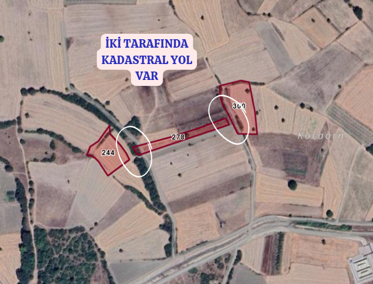 BURSA MUSTAFAKEMALPAŞA  BÜK  KÖYÜNDE  2.000 M² TARLA SATILIKTIR. - BURSA MUSTAFAKEMALPAŞA fotoğraf 5