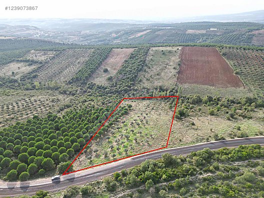 BURSA KARACABEY DOĞLA 'DA 8.600  M²  TARLA  SATILIKTIR. - BURSA KARACABEY fotoğraf 7