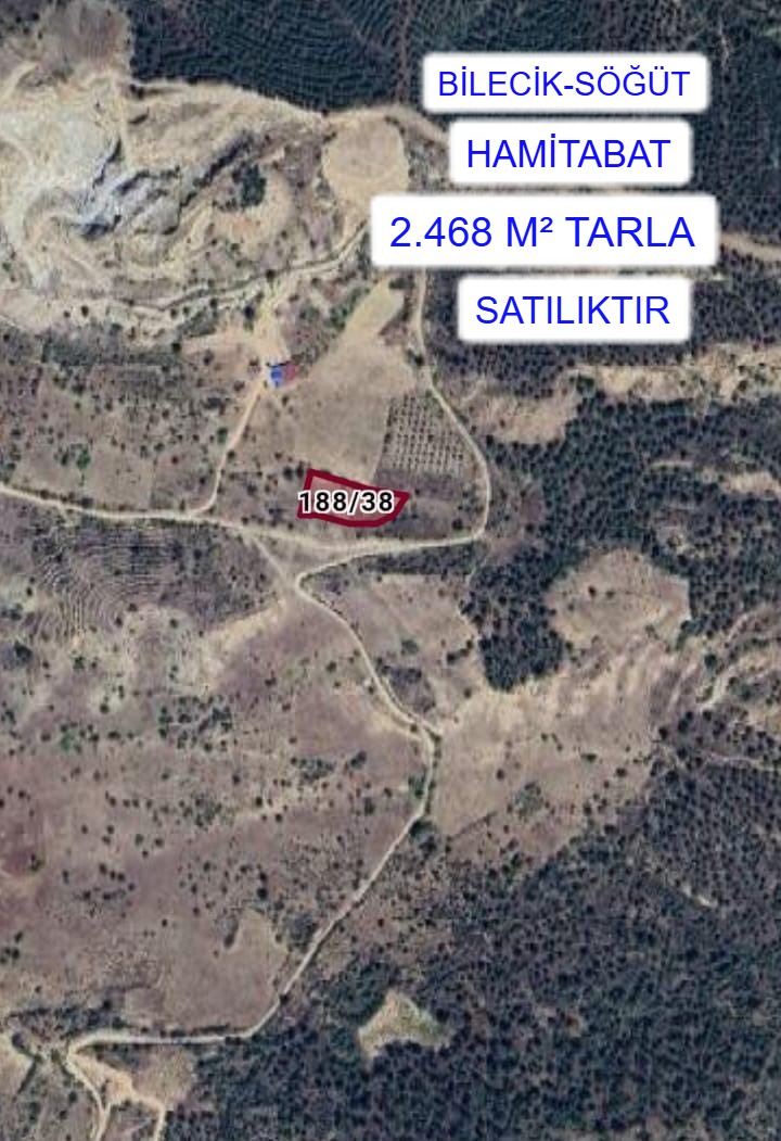     BİLECİK SÖĞÜT HAMİTABAT MAH. 2.468M² TARLA  SATILIKTIR - BİLECİK SÖĞÜT fotoğraf 2