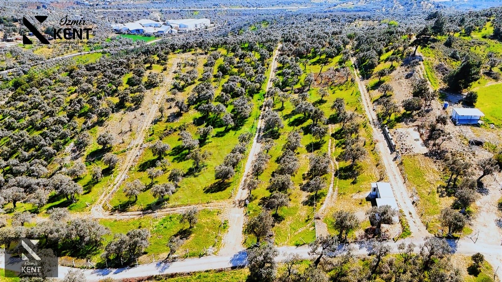 Kemalpaşa Vişneli Satılık 370 m2 Bahçe Elektrik Su Yol - İZMİR KEMALPAŞA fotoğraf 50