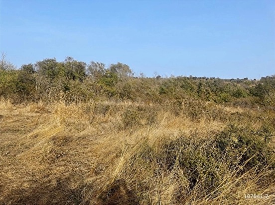 SÜLEYMANDANIŞMENT KÖYÜNDE 1326 M2 BAĞ TAPU YATIRIMLIK ARAZİ - EDİRNE LALAPAŞA fotoğraf 7