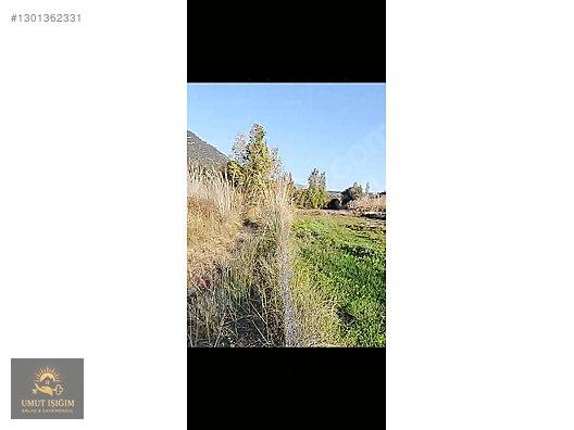 KÖYCEĞİZ YANGIDA SATILIK TARLA - MUĞLA KÖYCEĞİZ fotoğraf 8