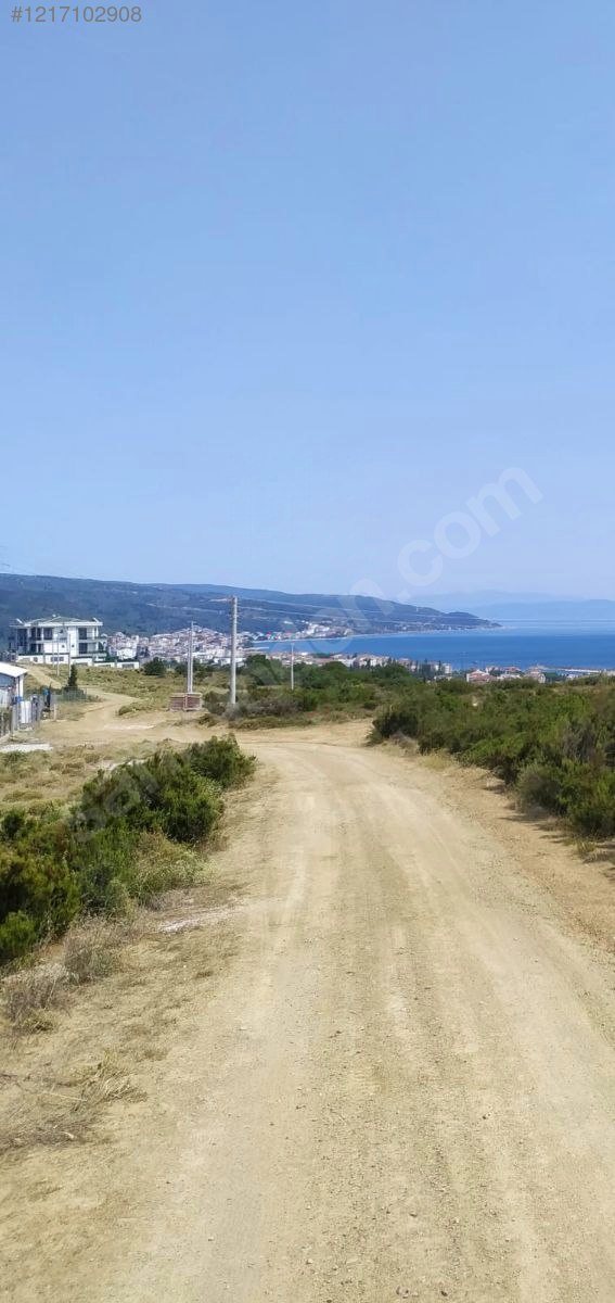 YALOVA ARMUTLU KARŞIYAKA  348  M² TARLAMIZ SATILIKTIR - YALOVA ARMUTLU fotoğraf 7