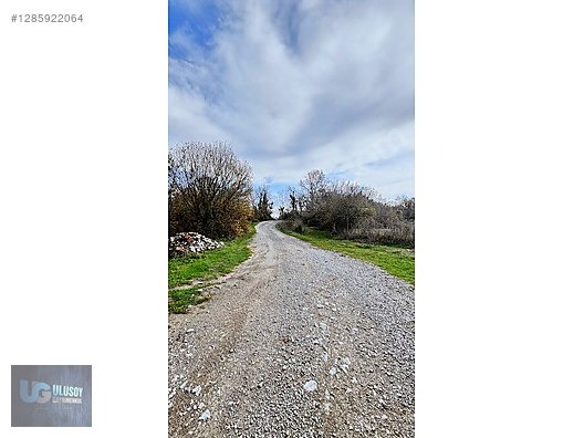 4,5 DÖNÜM FINDIK TARLASI - BARTIN MERKEZ fotoğraf 14