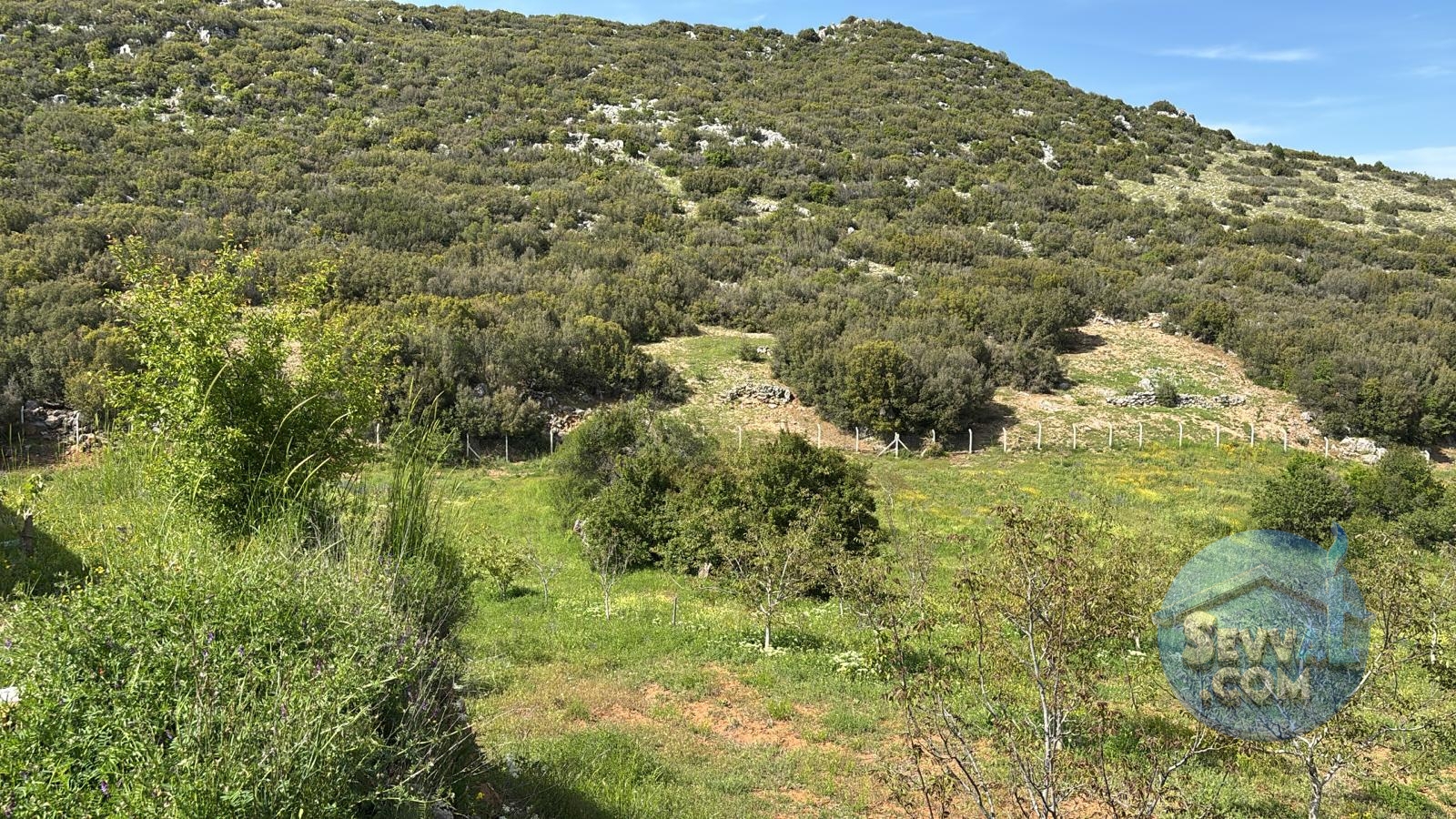 AĞLASUN ÇANAKLI KÖYÜNDE SATILIK CEVİZLİK - Burdur Ağlasun fotoğraf 9