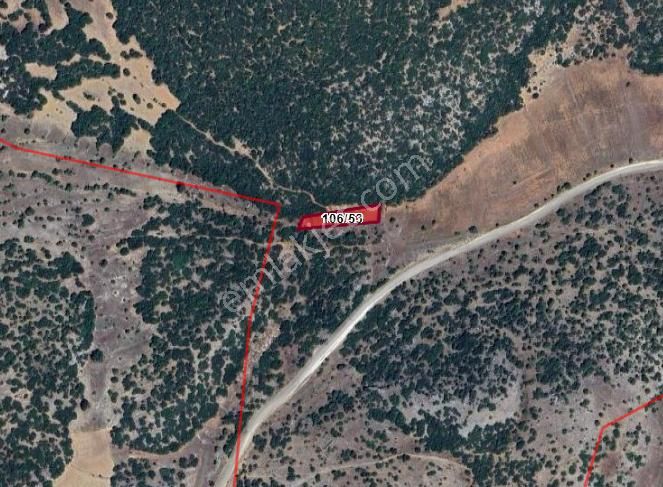 Acil Satılık !!! Burdur Ağlasun Hisarköy Muhteşem Konumda Tarlalar - BURDUR AĞLASUN fotoğraf 4