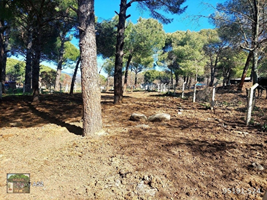 BERGAMA KOZAK YAYLASI YUKARIBEY MAH DE 950 m2 FISTIKLIK - İZMİR BERGAMA fotoğraf 9