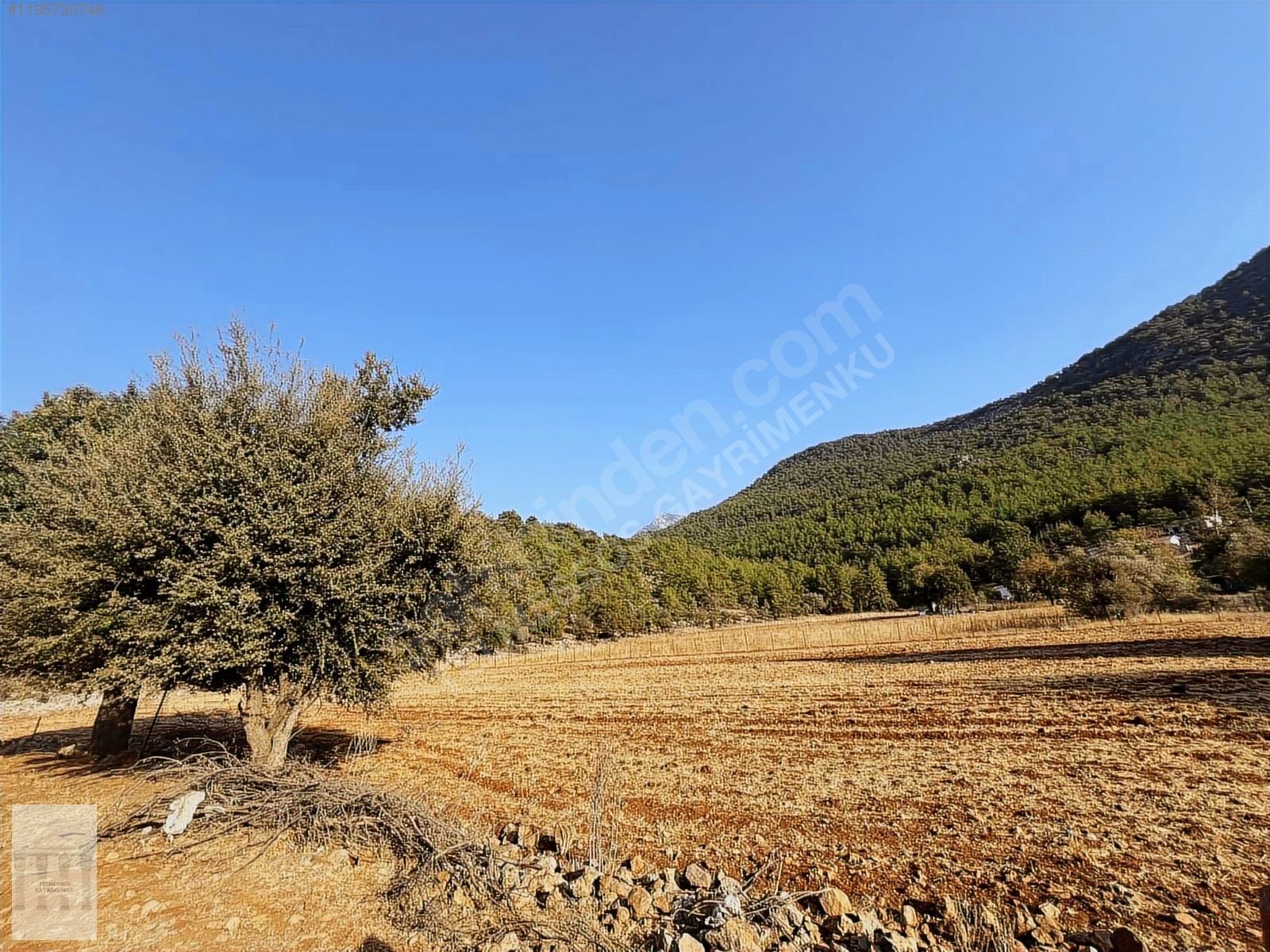 KAYAKÖYDE SATILIK RIZAİ TAKSİMLİ YATIRIMLIK 5300 m2 TARLA - MUĞLA FETHİYE fotoğraf 2