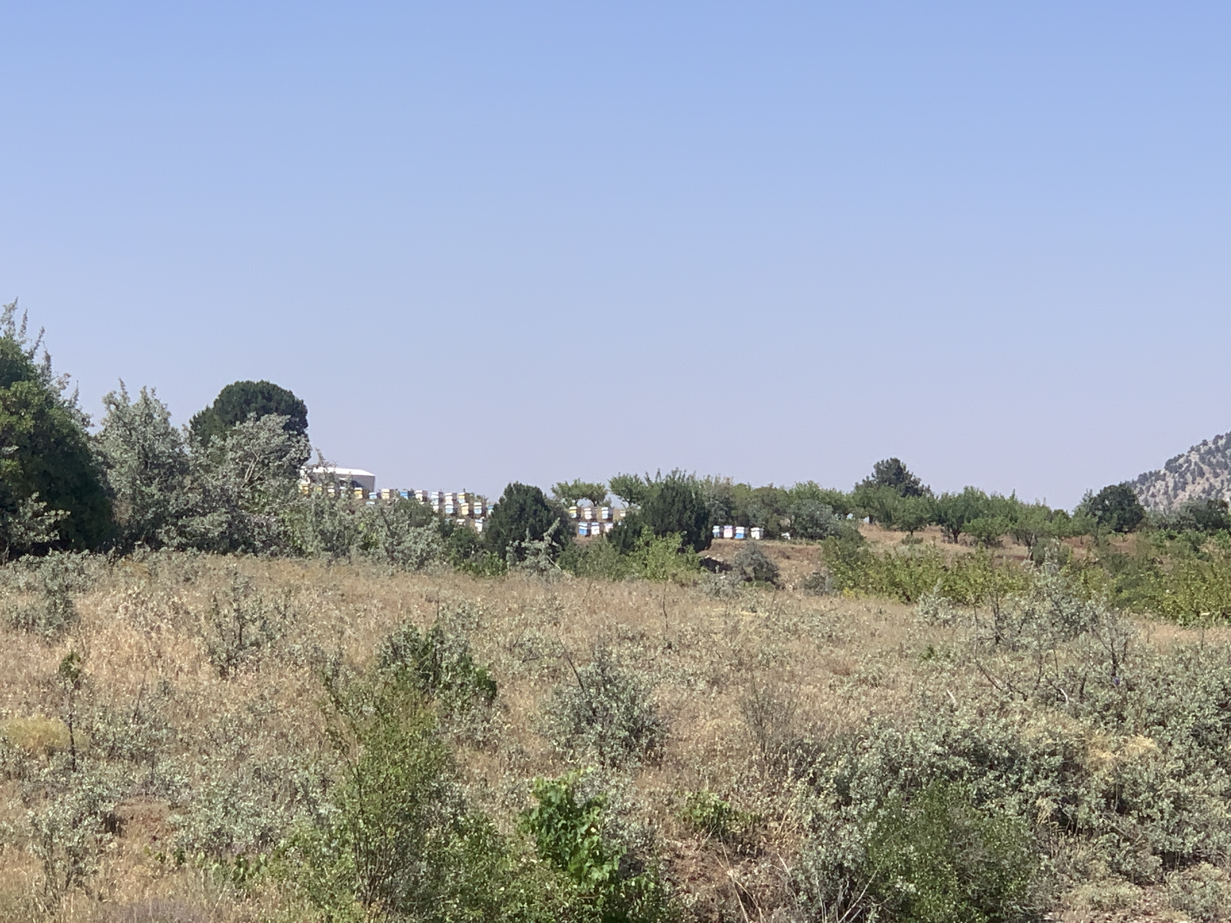 KONYA BOZKIR HACILAR KÖYÜNDE 236 M2 BAĞ SATILIKTIR. - KONYA BOZKIR fotoğraf 17