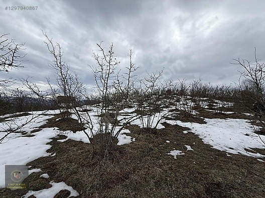 DÜZCE YIĞILCA HACILAR 'DA 2.744 M2 BAĞ EVİ OLAN FINDIK BAHÇESİ - DÜZCE YIĞILCA fotoğraf 25