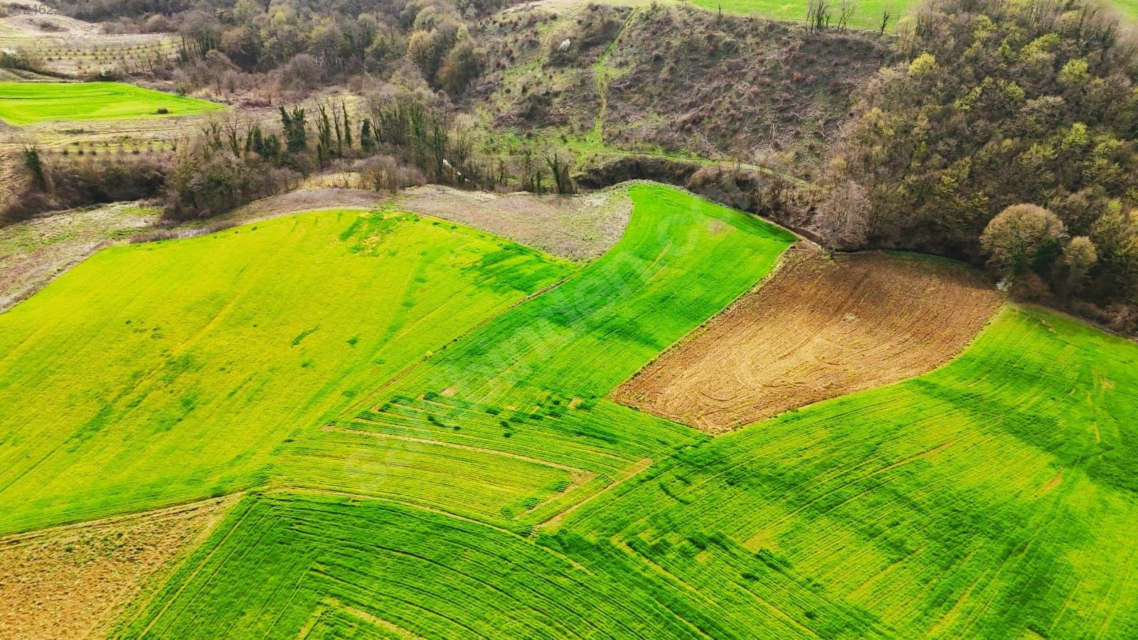 ARAÇ TAKASLI ARSA - KOCAELİ KANDIRA fotoğraf 3