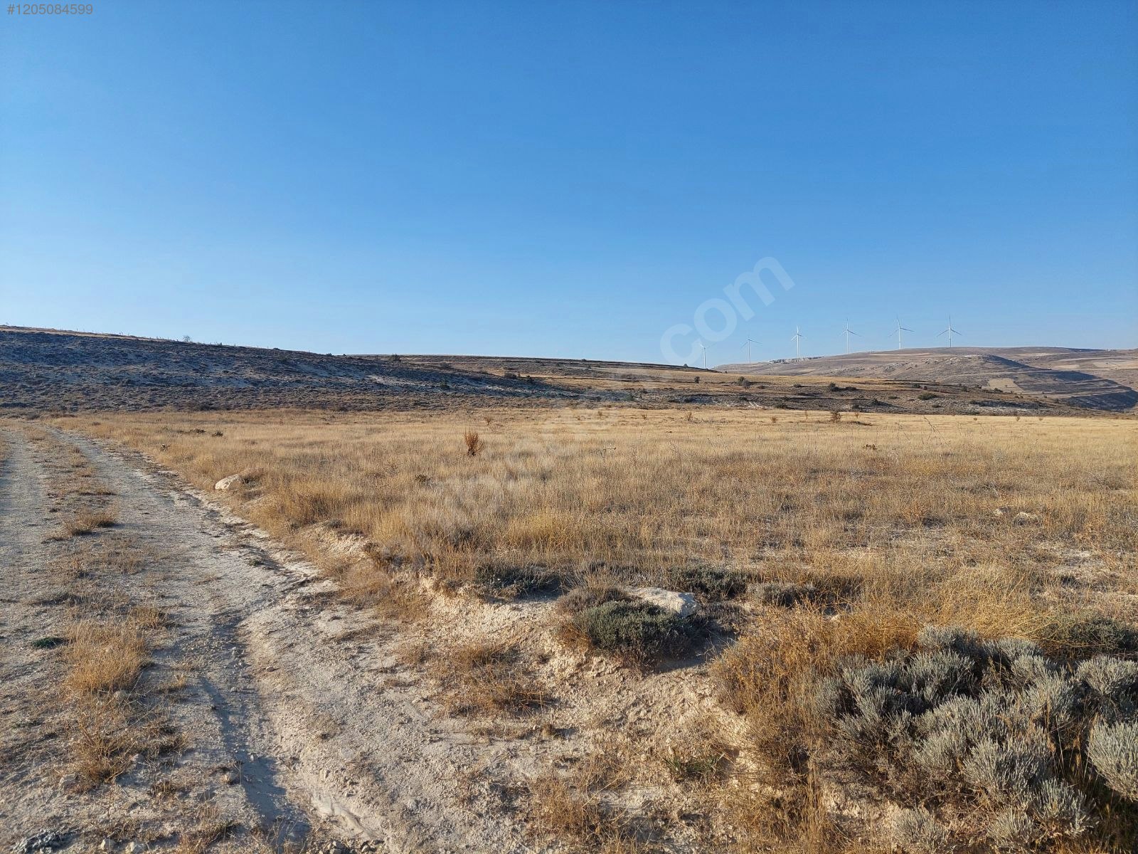 Mut Güme 12 dönüm tek tapu köye yakın tarla  12031M²  - MERSİN MUT fotoğraf 6