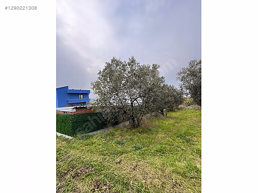 BÖLGE UZMANI HAS EMLAK DENİZ MANZARALI FIRSAT HOBİ BAHÇESİ - BURSA MUDANYA fotoğraf 26