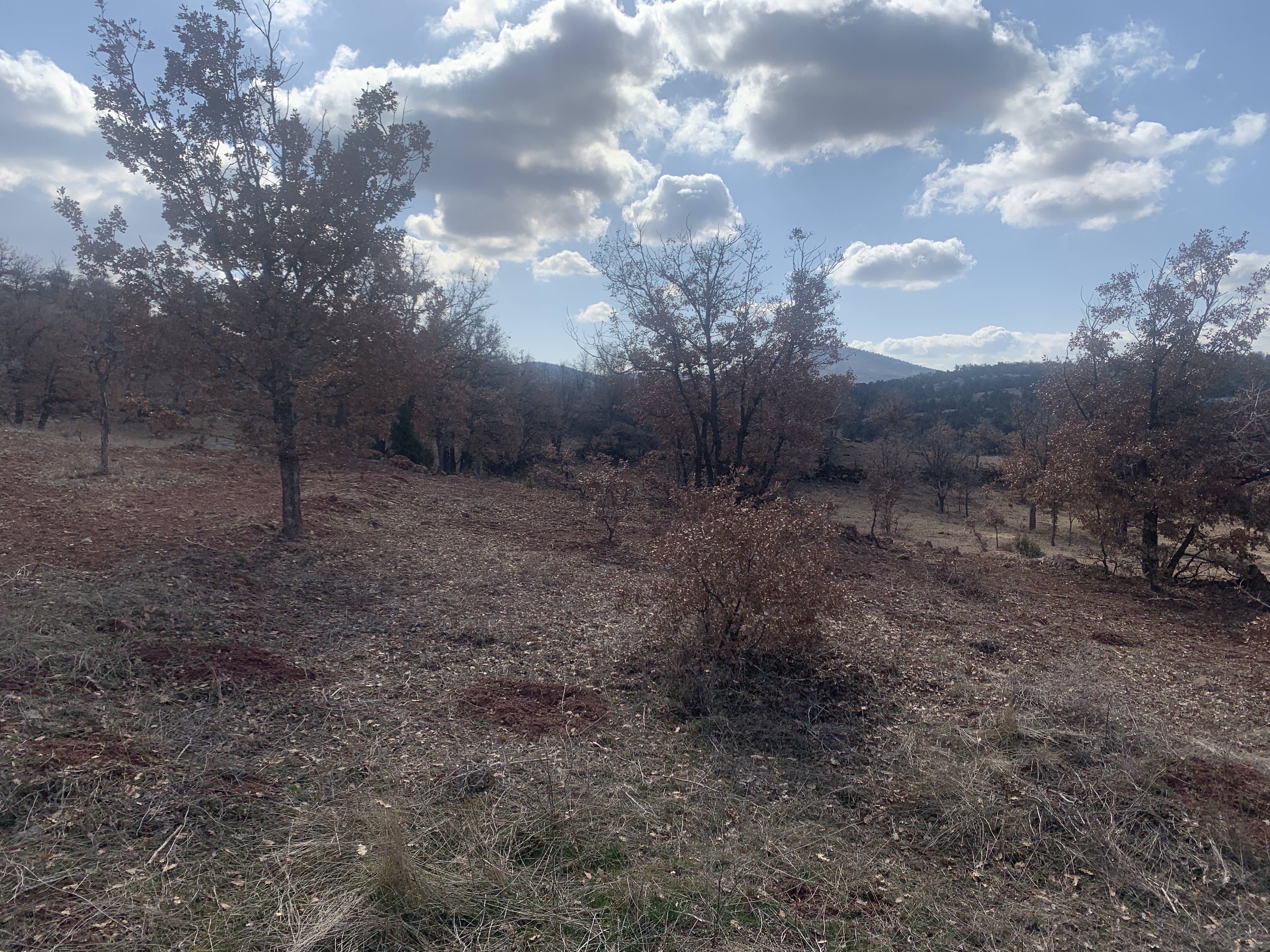 KONYA BOZKIR HACILAR KÖYÜNDE 39M² TARLAMIZ SATILIKTIR. - KONYA BOZKIR fotoğraf 7
