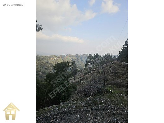 EFELER GAYRİMENKUL Önü Açık KARAKÖY Mevkii 15.146m2 TARLA - AYDIN EFELER fotoğraf 12