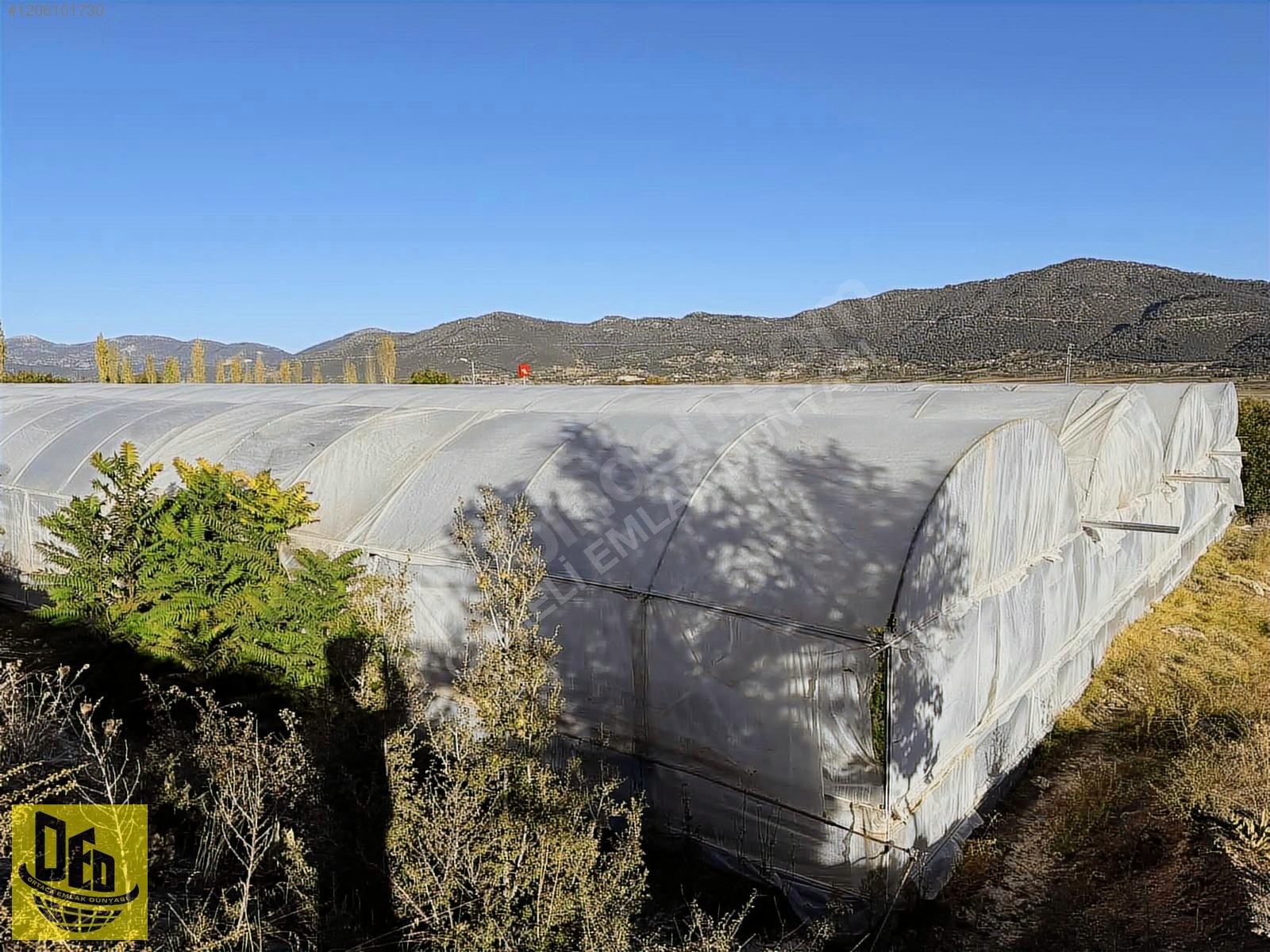 ÇAMELİ YUMRUTAŞ 5.472m2 TARLA İÇİNDE 4000m2 SERA TESİSİ - DENİZLİ ÇAMELİ fotoğraf 7