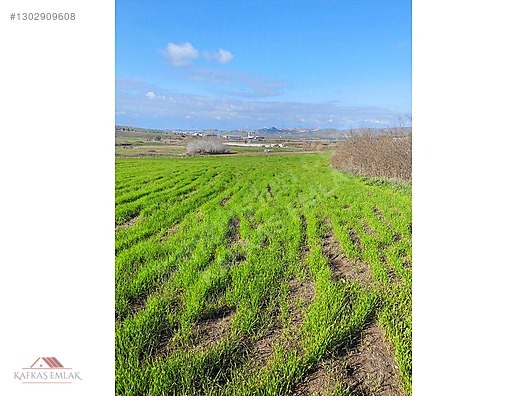 BOĞAZKÖYDE İMAR SINIRINDA 17.700M2 TARLA - BURSA MUSTAFAKEMALPAŞA fotoğraf 7