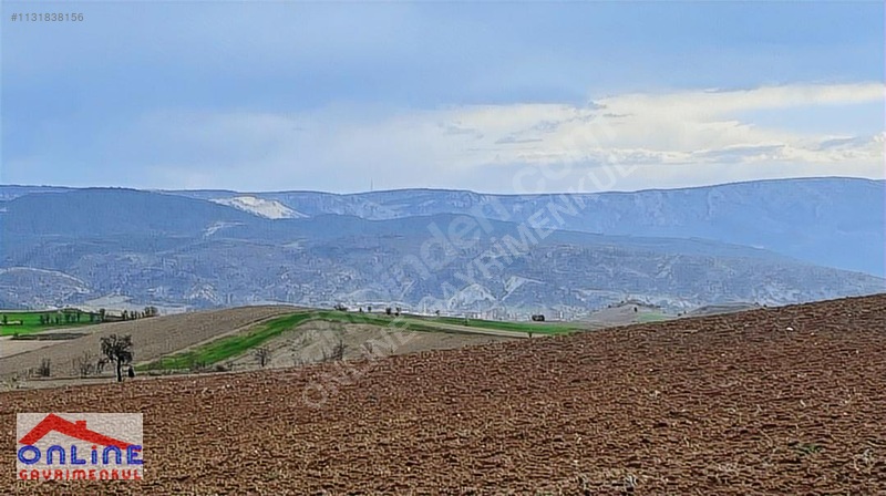 Araç Takaslı - BİLECİK YENİPAZAR fotoğraf 12
