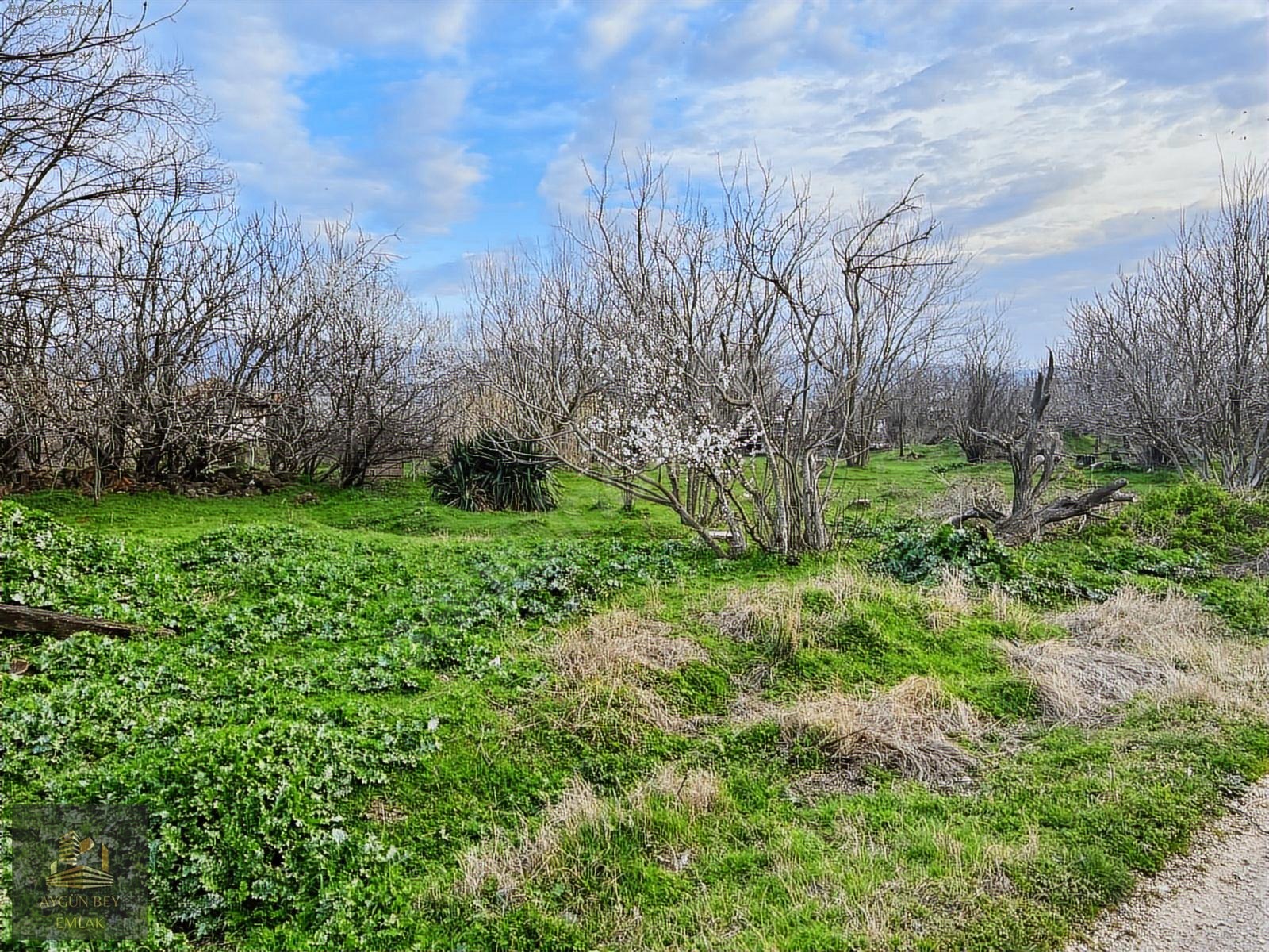 Bursada 2 Adet Müstakil Ev & 1.041 m² Arazi Yenilemeye ve - BURSA MUSTAFAKEMALPAŞA fotoğraf 5