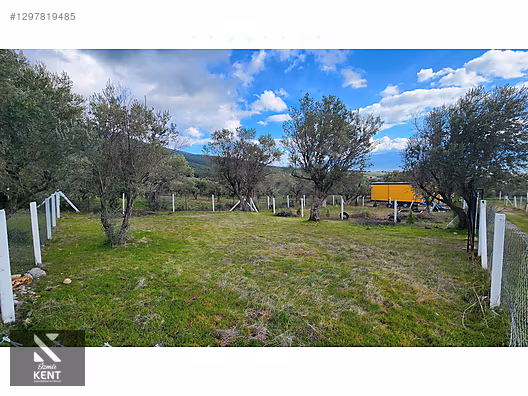Kemalpaşa Sütçüler Satılık 331 m2 Bahçe - İZMİR KEMALPAŞA fotoğraf 27