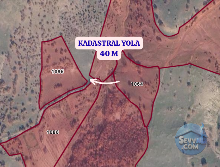 KÜTAHYA ŞAPHANE ÜÇBAŞ  KÖYÜNDE 11.850 M²  TARLA  SATILIKTIR - KÜTAHYA ŞAPHANE fotoğraf 3