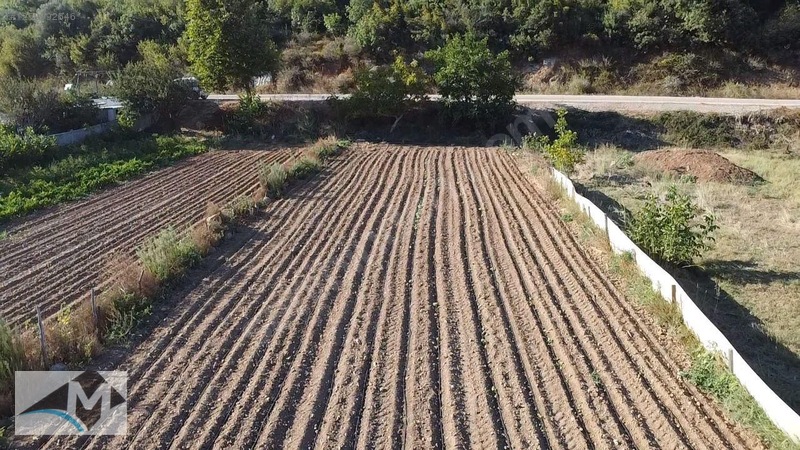 Balıkesir bandırma sahil yenice - BALIKESİR BANDIRMA fotoğraf 3