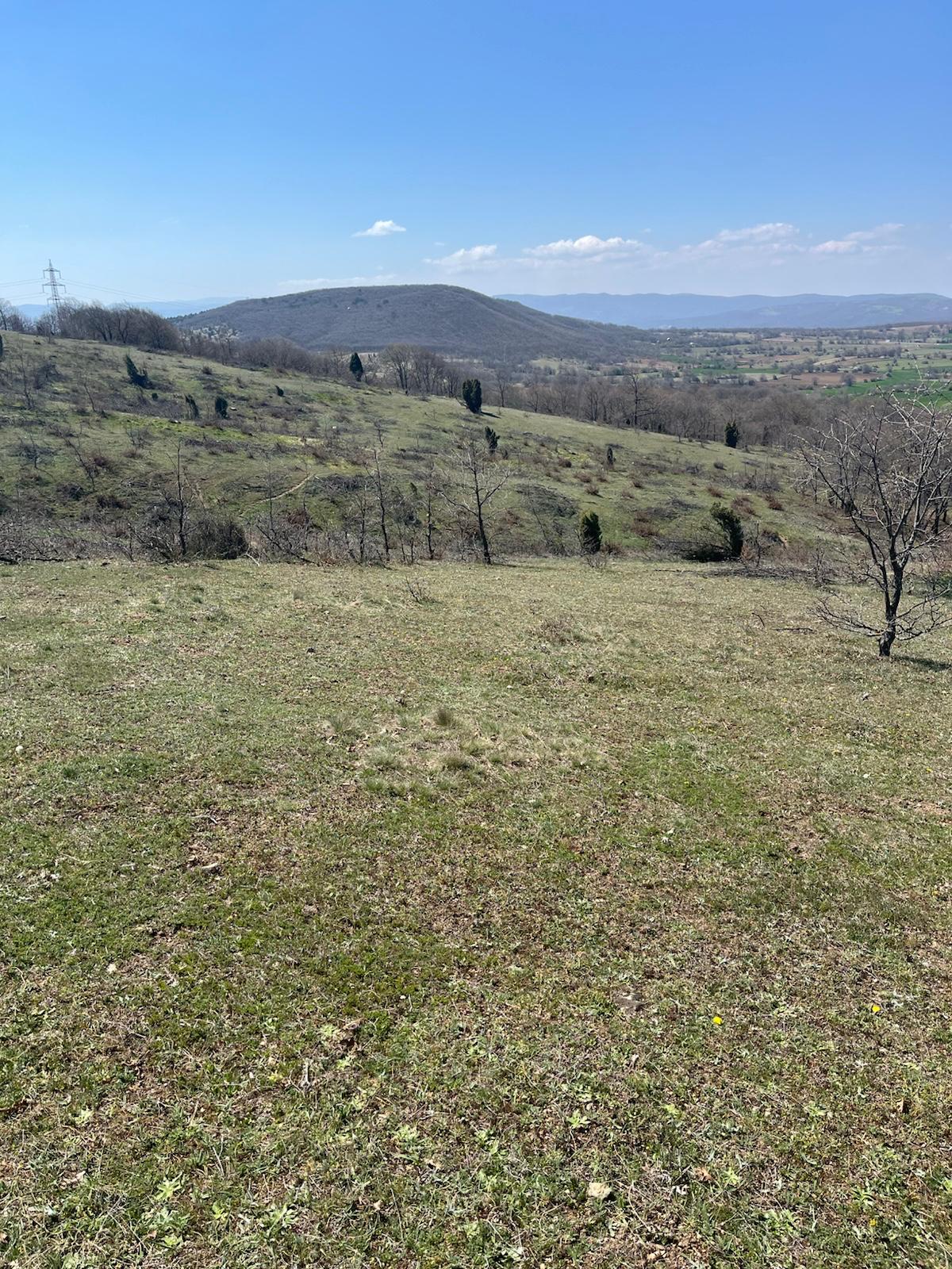 Sahibinden Bilecik Bozüyük tarla 4250 m ACİLL SATILIK - BİLECİK BOZÜYÜK fotoğraf 6