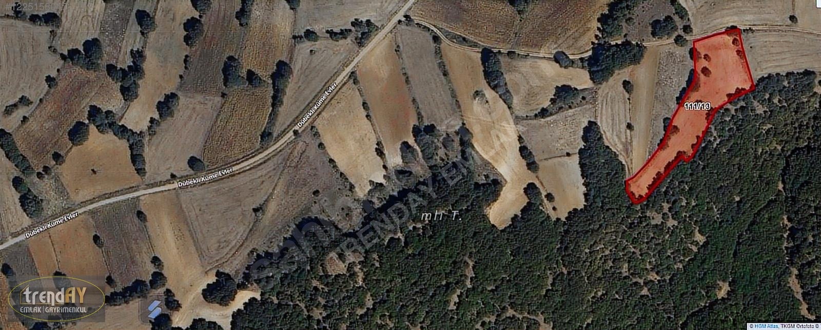 Dübekli Köyü'nde 10.570 m² Kadastral Yola Cepheli Tarlalar - BİLECİK BOZÜYÜK fotoğraf 10