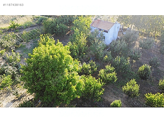 ÇANAKKALE BAYRAMİÇ BEŞİK KÖYÜ 6.900 m2 MEYVA BAHÇESİ 96 m2 EV - ÇANAKKALE BAYRAMİÇ fotoğraf 17