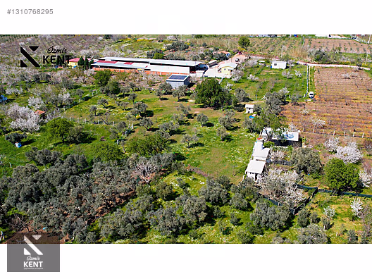 Kemalpaşa Armutlu Satılık Arazi 4.000 m2 - İZMİR KEMALPAŞA fotoğraf 20