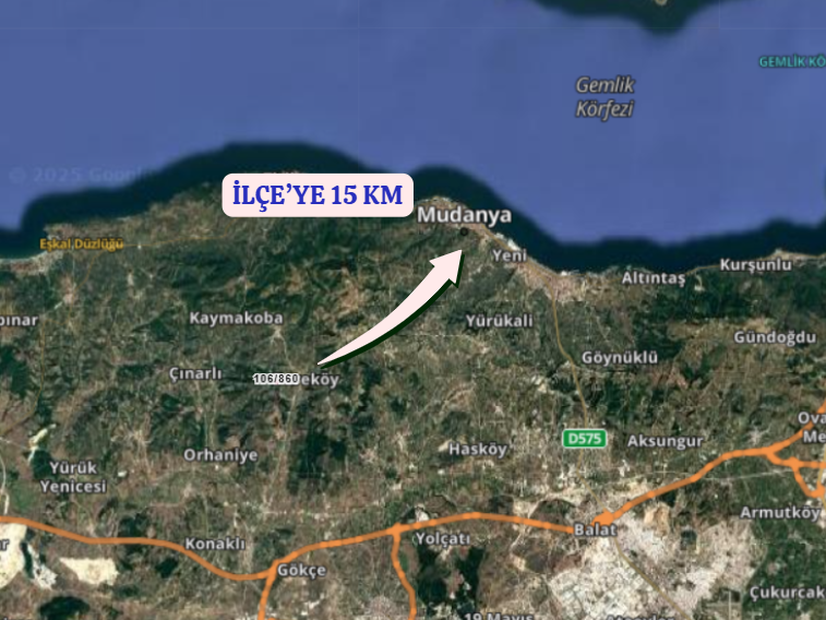 BURSA MUDANYA DEREKÖY KÖYÜNDE 1.834 M² ZEYTİNLİK SATILIKTIR. - BURSA MUDANYA fotoğraf 7
