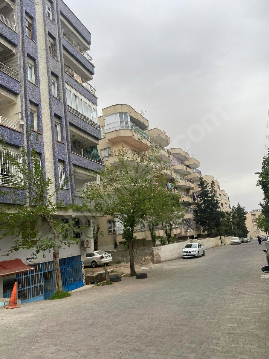 GÜZEL EMLAK TAN ACİL SATILIK DUBLEKS DAİRE - ŞANLIURFA HALİLİYE fotoğraf 4