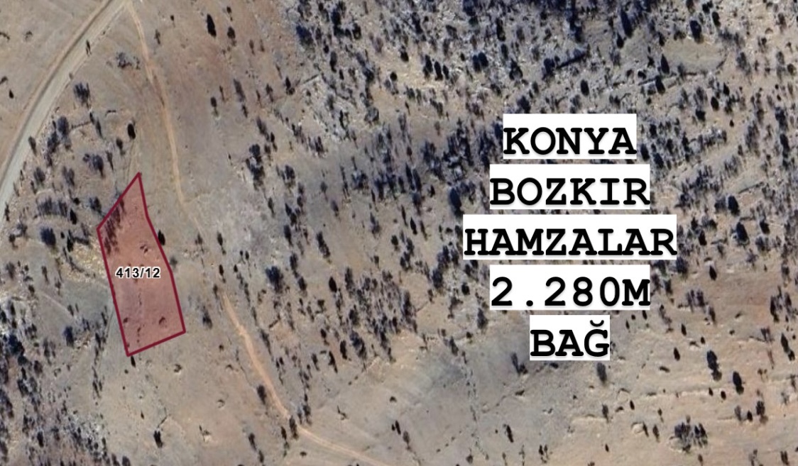 KONYA BOZKIR HAMZALAR KÖYÜNDE 2.280M² BAĞIMIZ SATILIKTIR. - KONYA BOZKIR fotoğraf 5