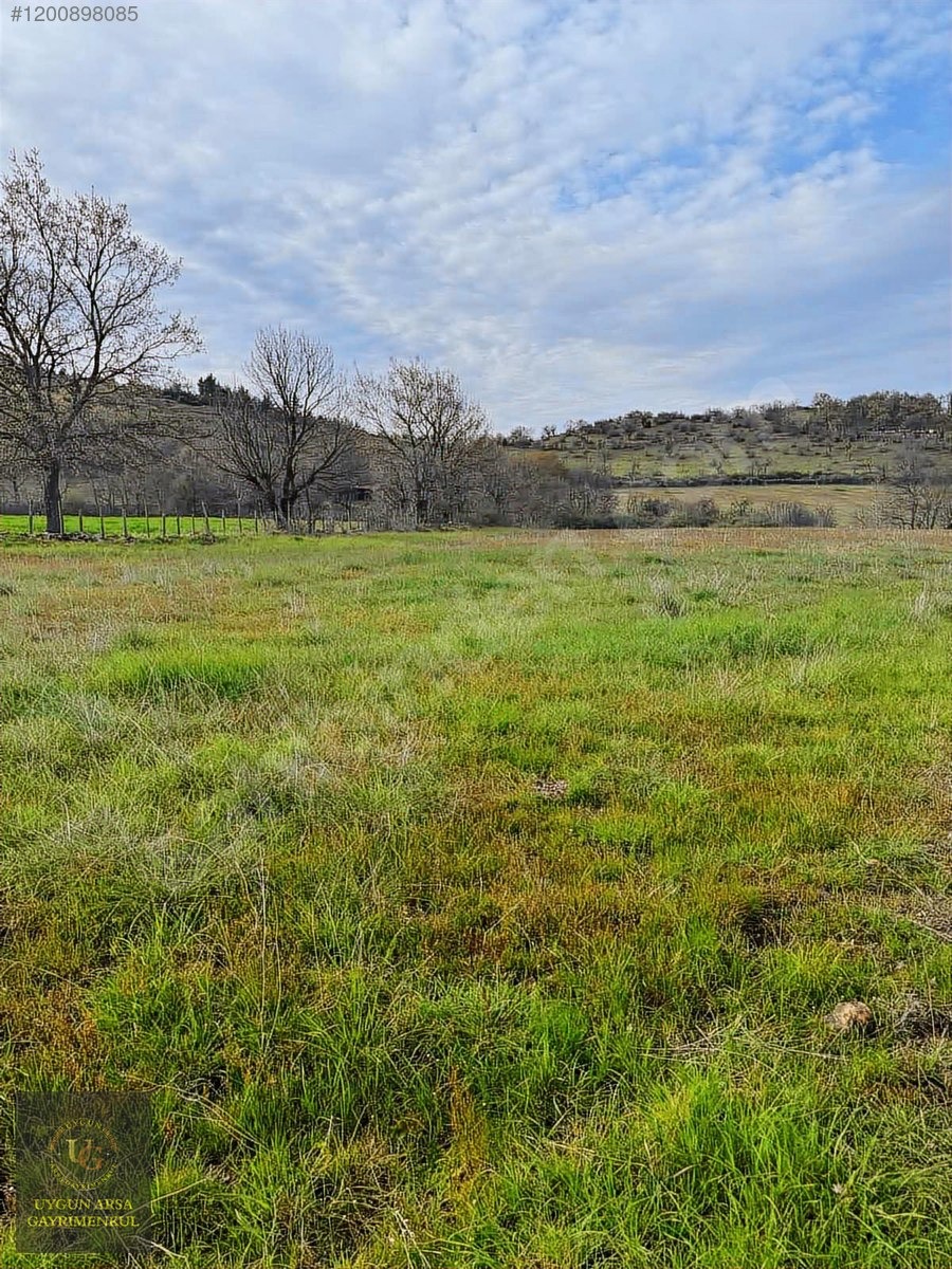 ÇANAKKALE ÇAN HALİLAĞA'DA 10.784 M2 UYGUN ARSA - ÇANAKKALE ÇAN fotoğraf 12