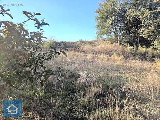 ÇAĞLAR'DAN TOPRAKDERE DE 823m2 MÜSTAKİL TARLA YOL+SU VAR - BURSA YENİŞEHİR fotoğraf 19