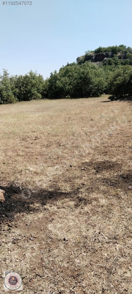 Kütahya merkez kozluca köyü nde satılık tarla - KÜTAHYA MERKEZ fotoğraf 10