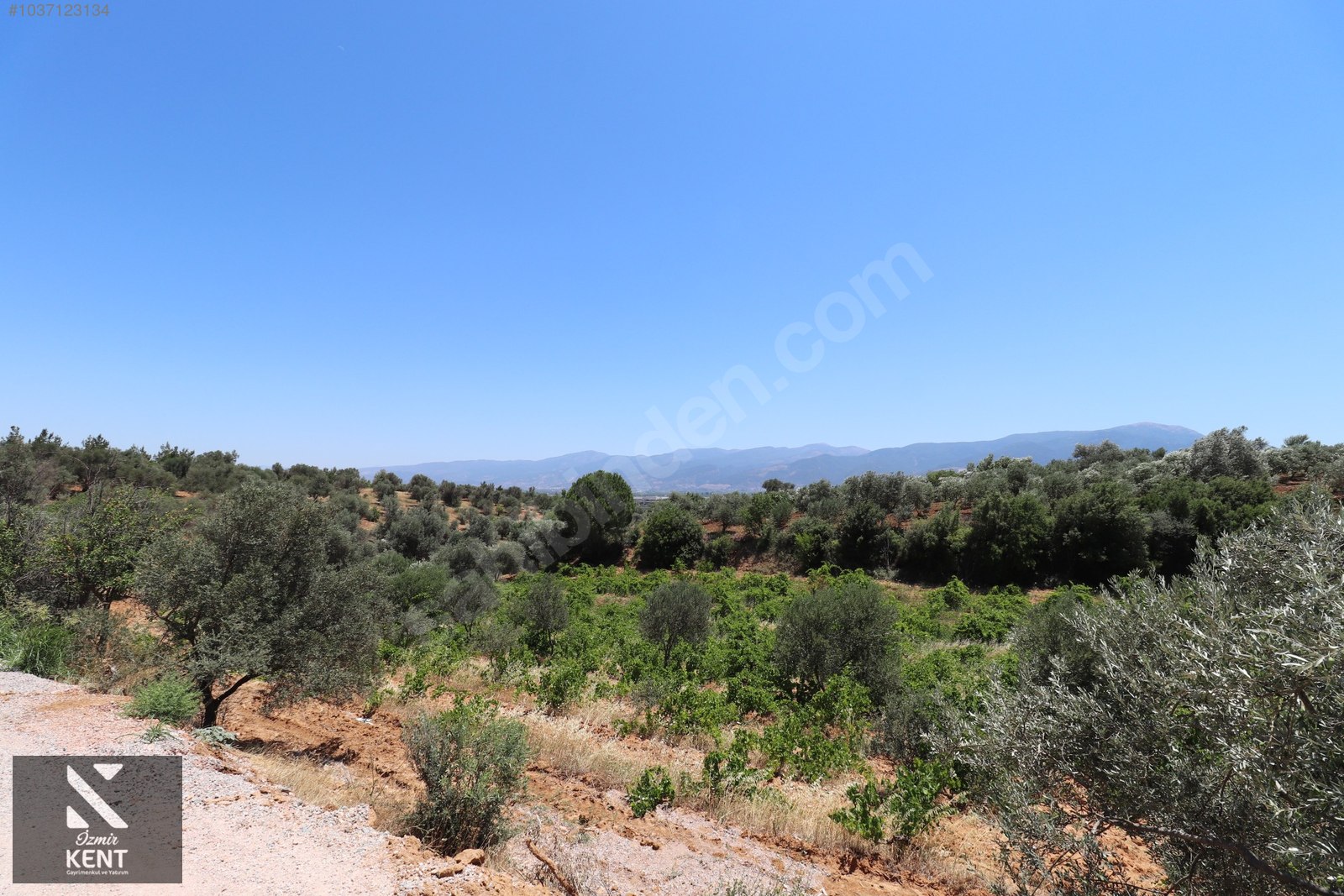 Kemalpaşa Çambel Satılık Bahçe 382 m2 - İZMİR KEMALPAŞA fotoğraf 17