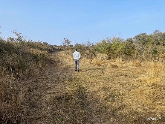 SÜLEYMANDANIŞMENT KÖYÜNDE 1326 M2 BAĞ TAPU YATIRIMLIK ARAZİ - EDİRNE LALAPAŞA fotoğraf 3