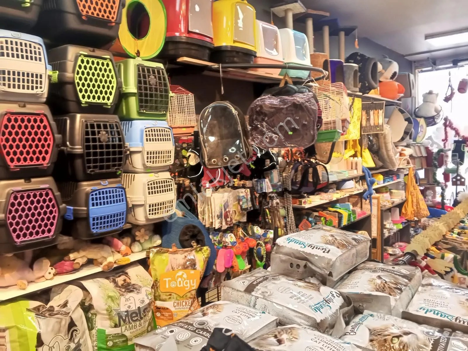 Devren Satılık Yüksek Cirolu Petshop - KOCAELİ KÖRFEZ fotoğraf 27