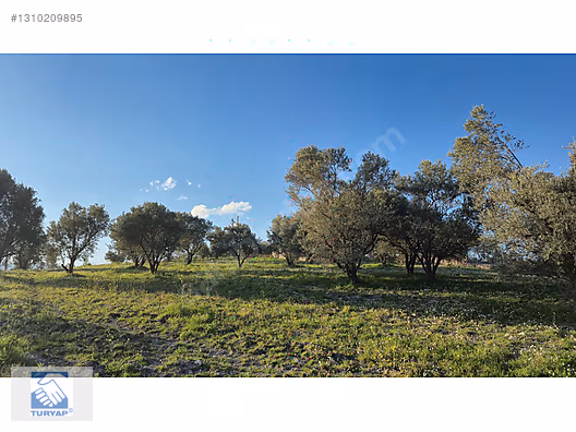 Kemalpaşa Ulucak Villalar Bölgesi Satılık Arazi - İZMİR KEMALPAŞA fotoğraf 5