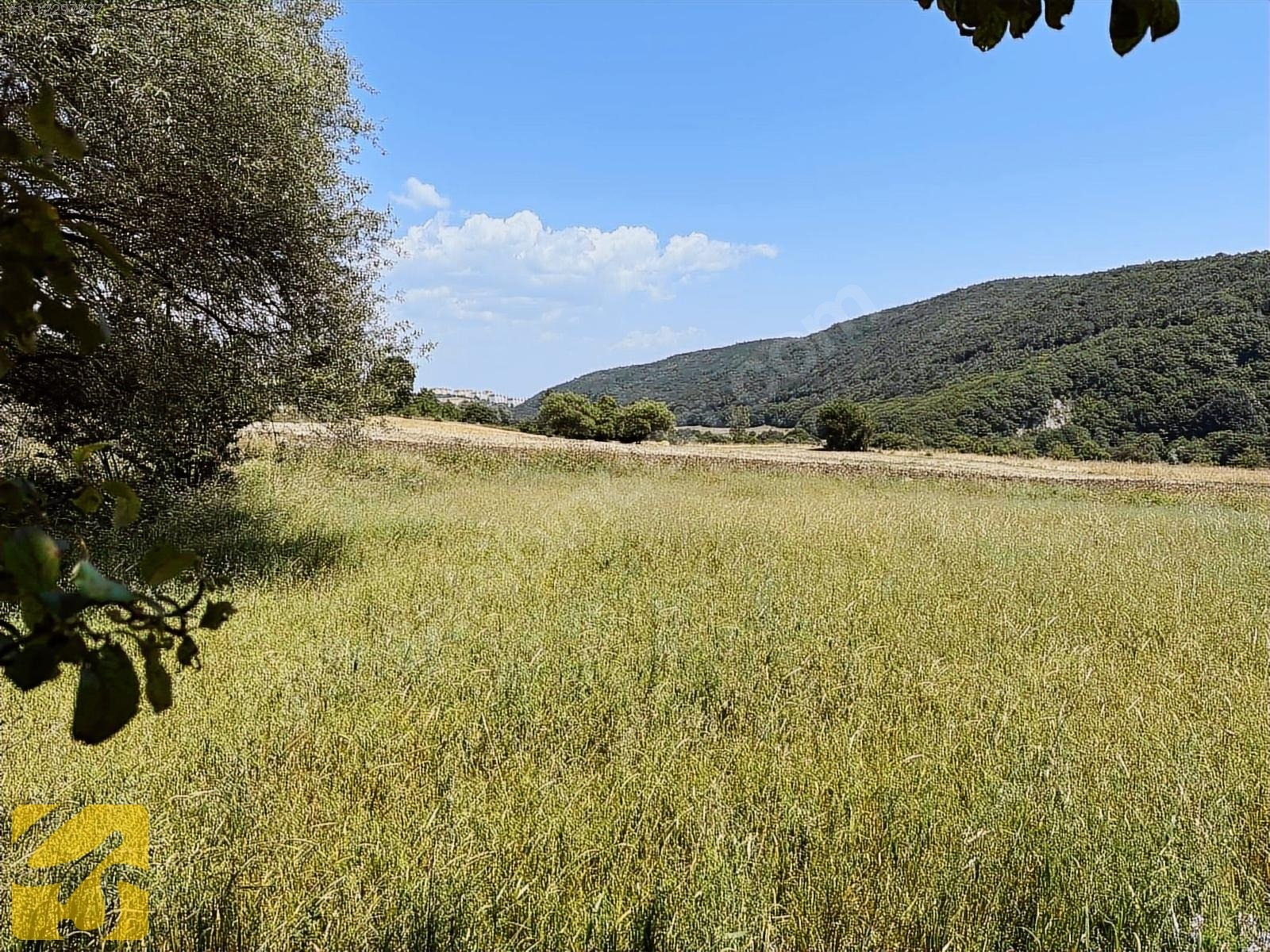 BOLU MERKEZ YUMURKAYA DA 2.900 METREKARE SATILIK TARLA - BOLU MERKEZ fotoğraf 24