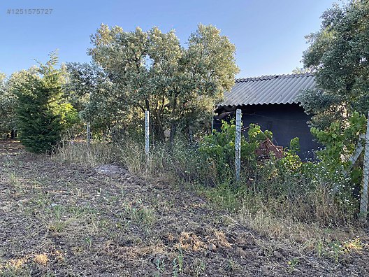 BURSA MUDANYA DEREKÖY KÖYÜNDE 3.673 M² ZETİNLİK SATILIKTIR. - BURSA MUDANYA fotoğraf 4