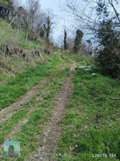 perşembe caytepe mah imarlı satılık, 4402m2 manzaralı bahçe satılık. - ORDU PERŞEMBE fotoğraf 3