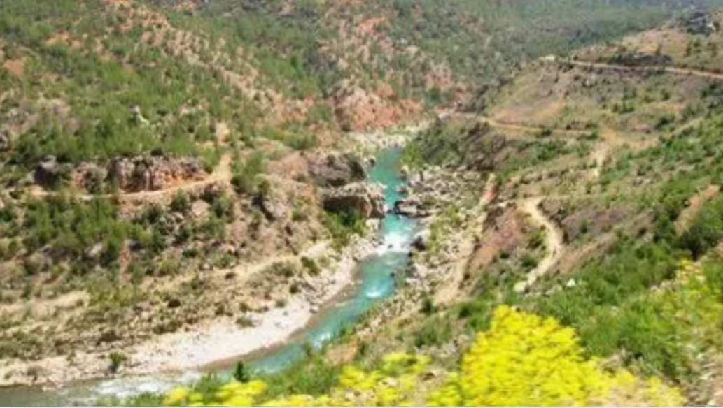KARAMAN ERMENEK PINARÖNÜ KÖYÜNDE 424 M2 TARLA SATILIKTIR. - KARAMAN ERMENEK fotoğraf 7