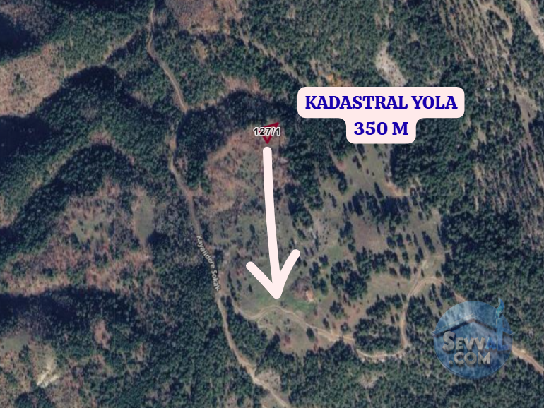 KÜTAHYA ŞAPHANE SUBAŞI  KÖYÜNDE 856 M²  TARLA  SATILIKTIR - KÜTAHYA ŞAPHANE fotoğraf 3
